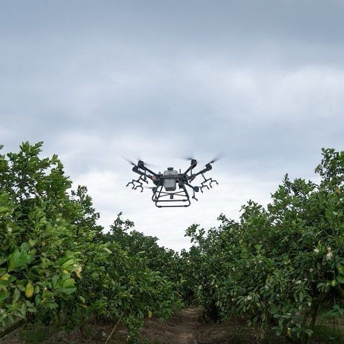 About Us  We are a specialized agricultural drone business located in the Bay Area of CA. Our goal is to provide innovative and efficient solutions for agricultural needs using drone technology.  With expertise in drones and a deep understanding of the agricultural industry, we are committed to providing our clients with high-quality services and exceptional results. We work closely with our clients to understand their specific needs and offer customized solutions that enhance the efficiency, productivity, and profitability of their agricultural operations.